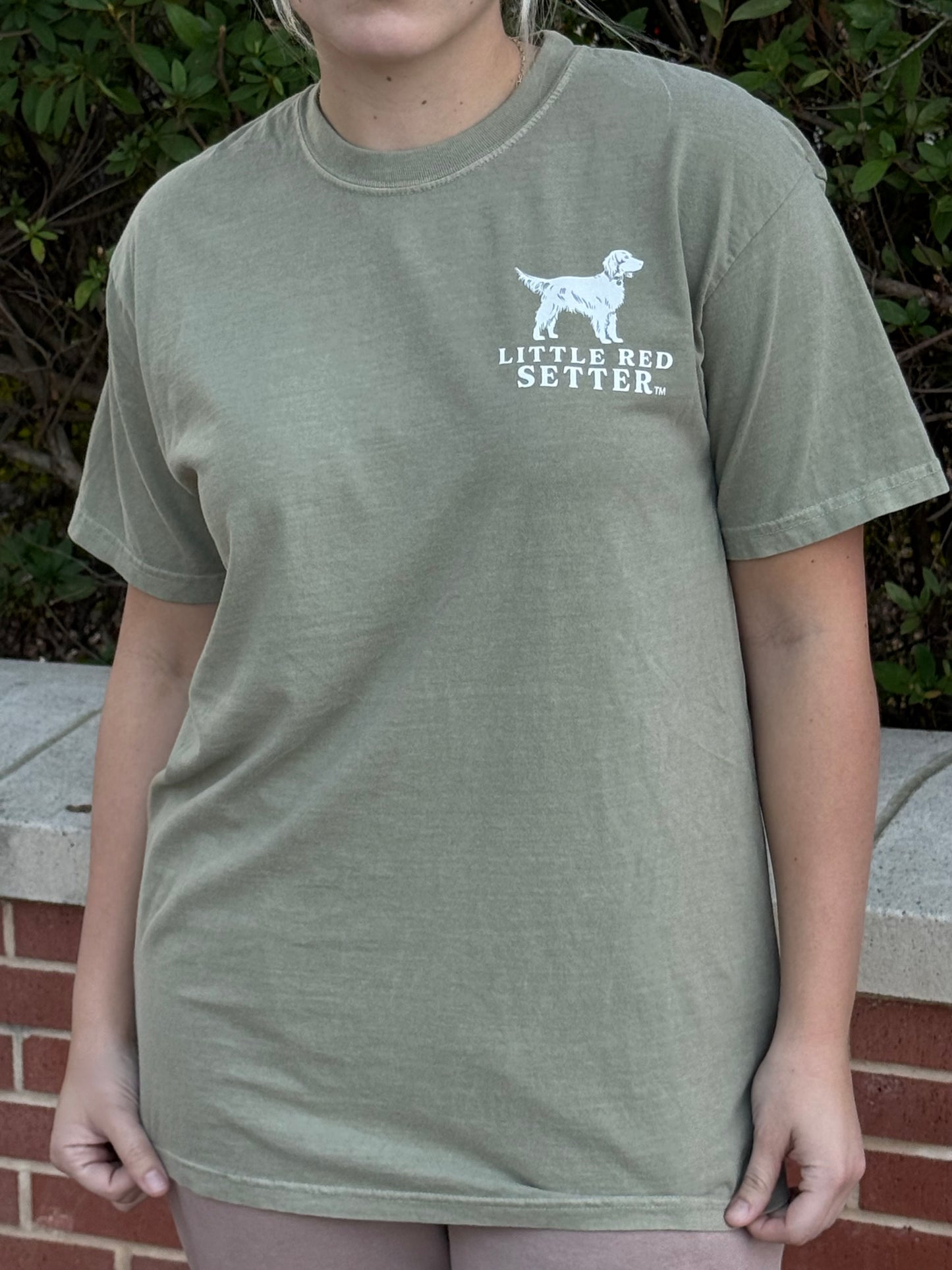 Little Red Setter T-Shirt Design #T009 Quail Hunt