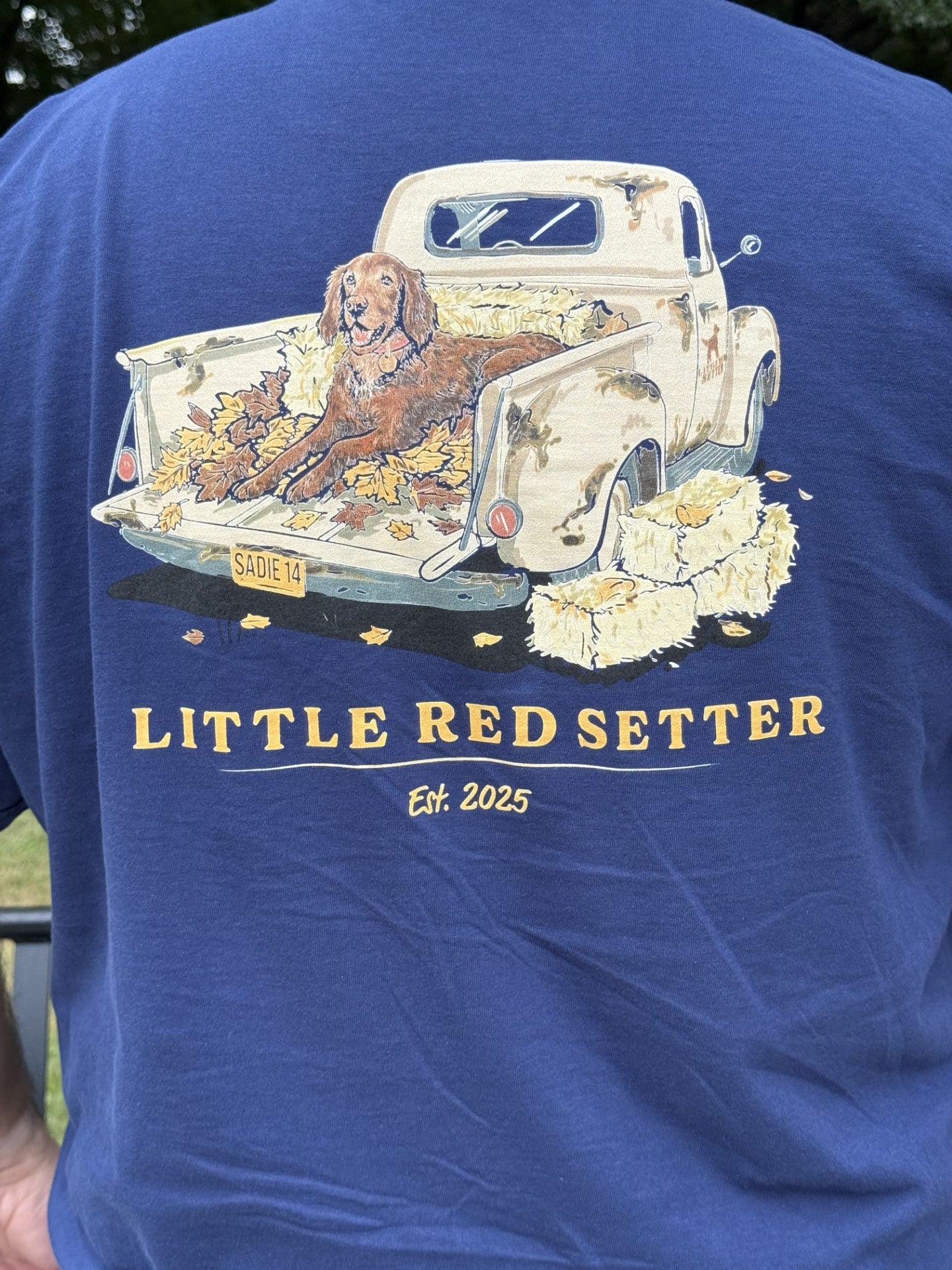Little Red Setter "It's Fall Y'all" design #T002
