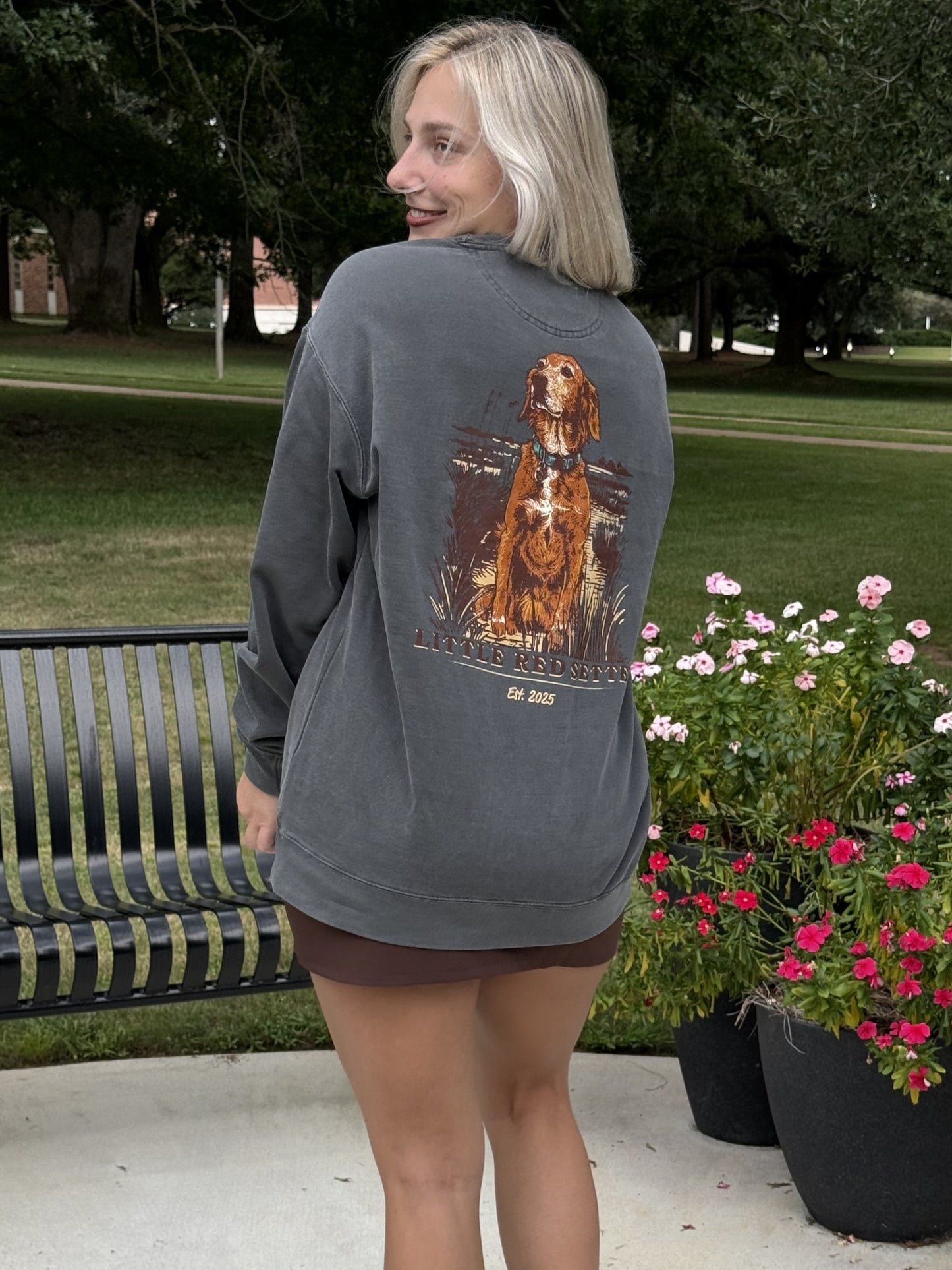 Little Red Setter "MEET SADIE" design #S001