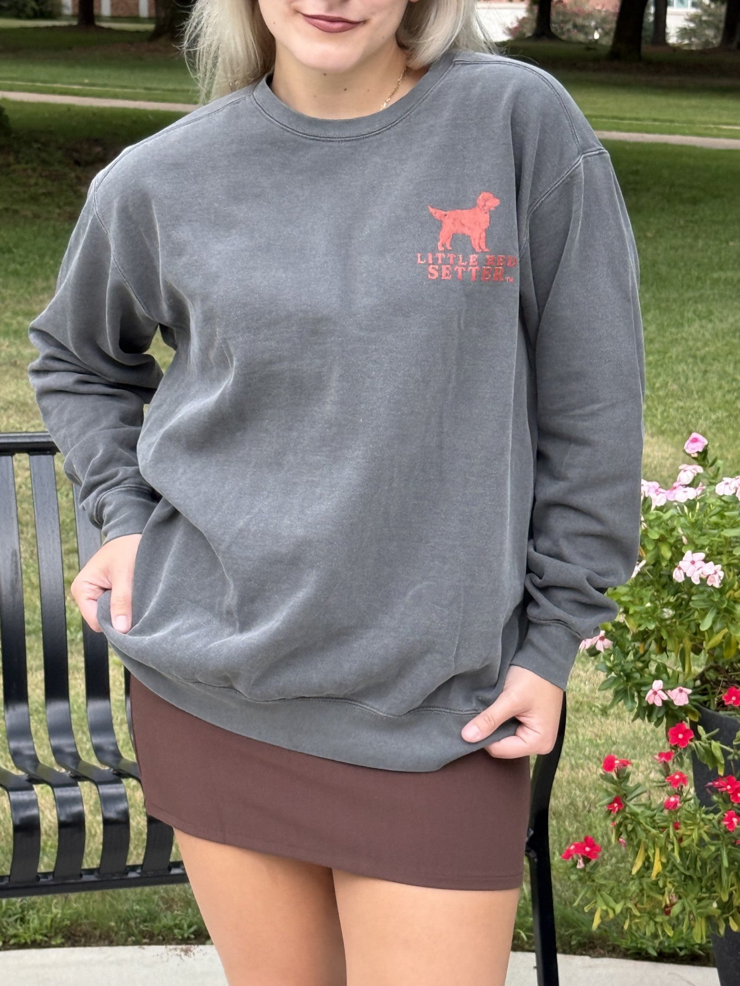 Little Red Setter "MEET SADIE" design #S001