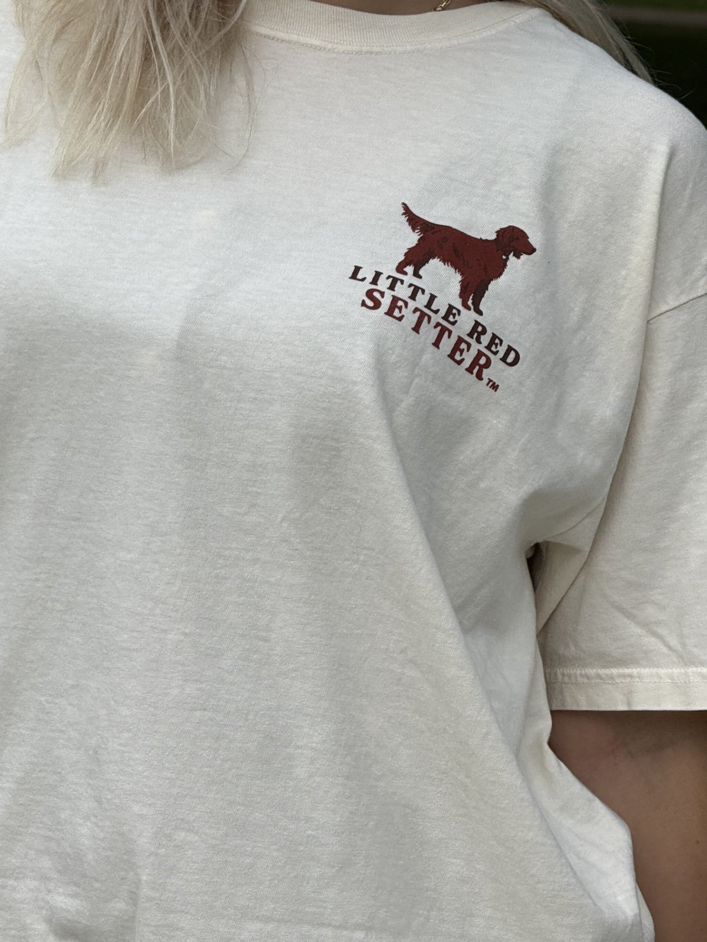 Little Red Setter "MEET SADIE" design #T001