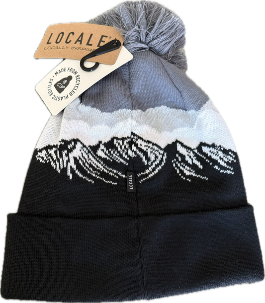 Little Red Setter Embroidered Black Misty Peaks Locale Grand Recycled Beanie