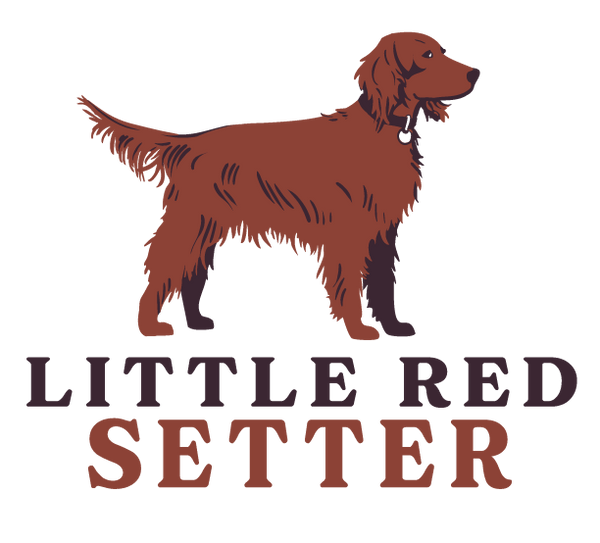 Little Red Setter