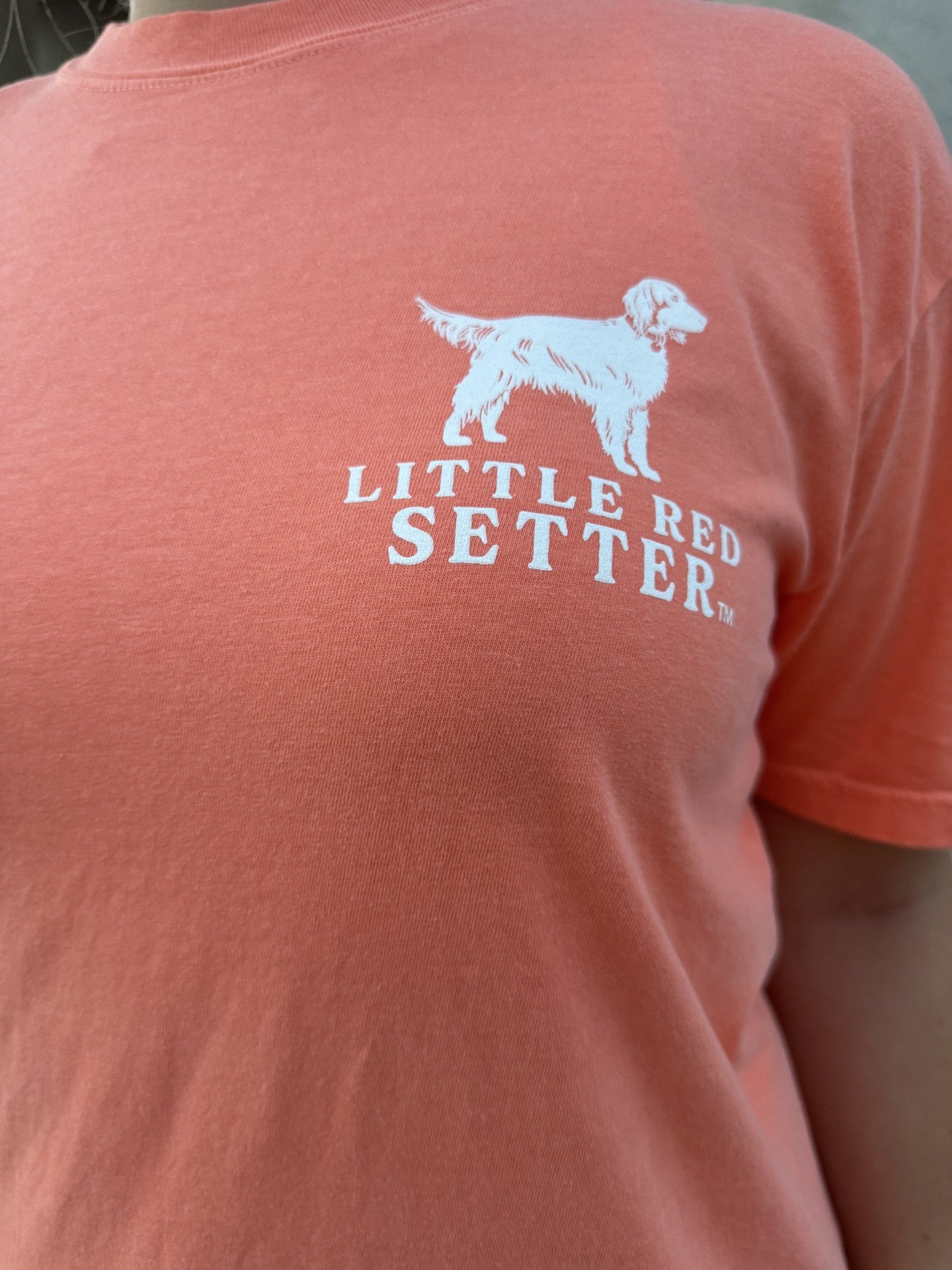 Little Red Setter T-Shirt Design #T013 Paws and Relax