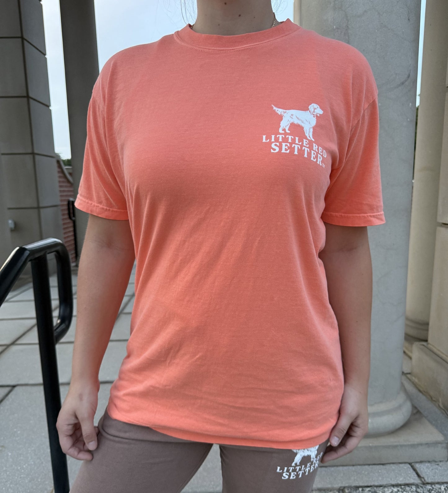 Little Red Setter T-Shirt Design #T013 Paws and Relax
