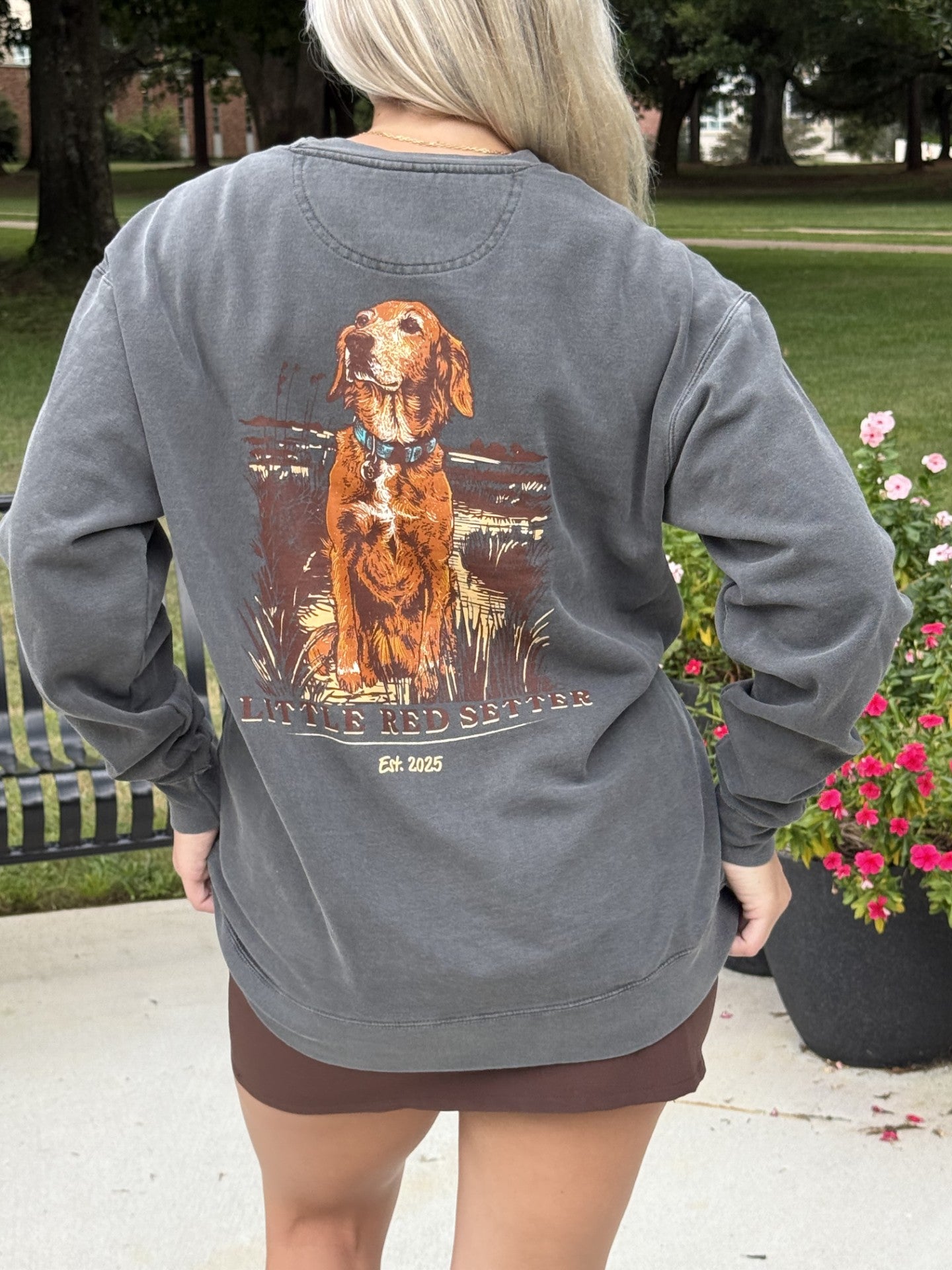 Little Red Setter "MEET SADIE" design #S001